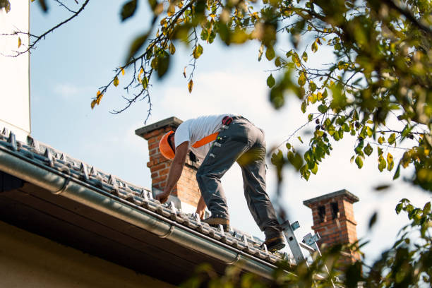 Roof Restoration